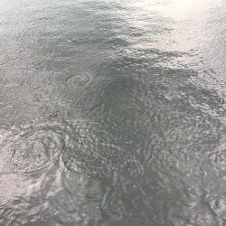 小潮〜＿ﾉ乙(､ﾝ､)_