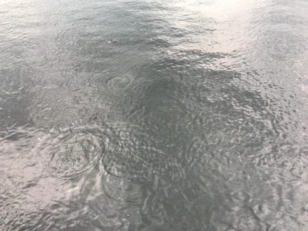 小潮〜＿ﾉ乙(､ﾝ､)_