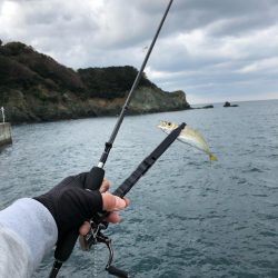 佐田岬遠征最終日