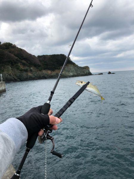 佐田岬遠征最終日