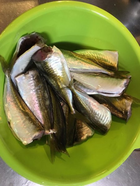 大阪奥湾サビキ 10mの違い