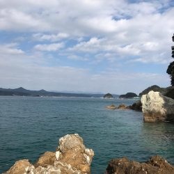 苗我島エギング