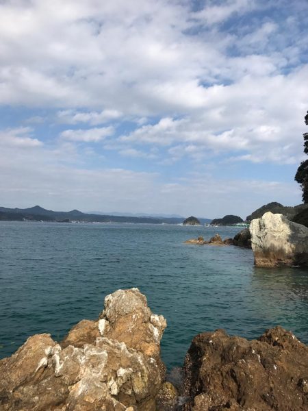 苗我島エギング