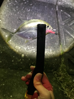 五目ライトゲーム