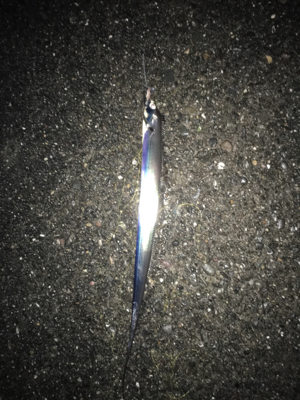 本気でやればもっと…