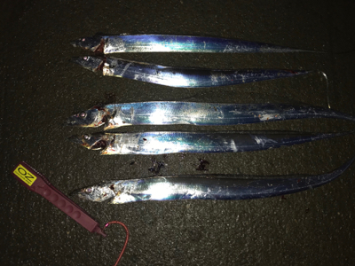 何にでも反応が良かった。