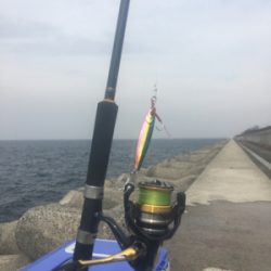 お久しぶりのハマチ