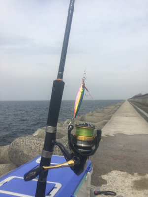 お久しぶりのハマチ