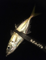 向かい風も何のその。