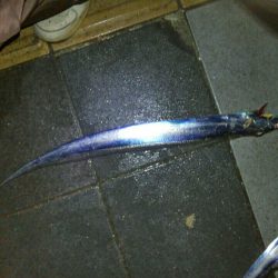 三連休初日の朝釣行