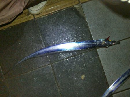 三連休初日の朝釣行