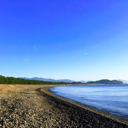 大里松原海岸 ハマチ3匹