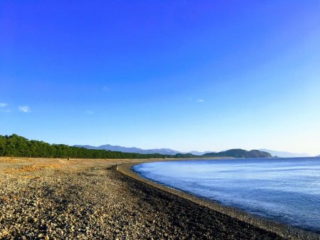 大里松原海岸 ハマチ3匹