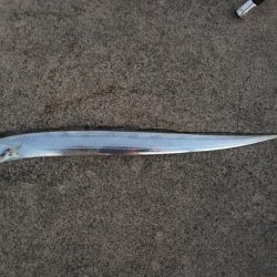 湾奥タチウオ。状況変化？？