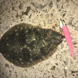 マナティーをサイズダウンしてから連続ヒット!!