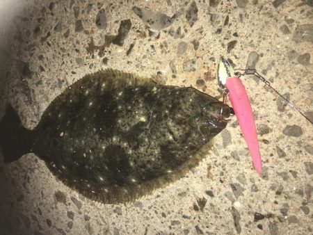 マナティーをサイズダウンしてから連続ヒット!!