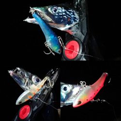 遅めのラッシュタイムにウハウハ♪