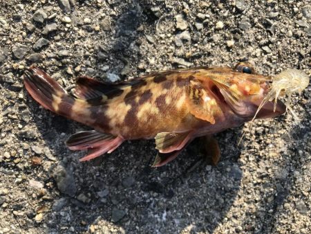 平磯は、風が冷たいです。