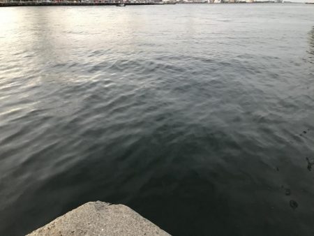 まだまだタチウオいけるかな？