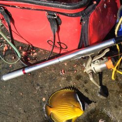 南紀 沖磯でフカセ釣り