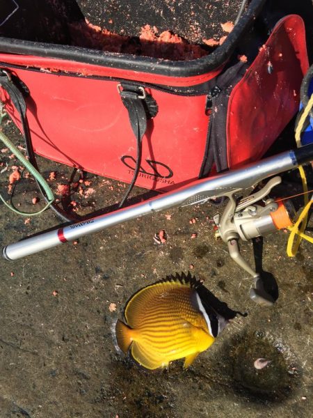 南紀 沖磯でフカセ釣り