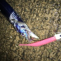 雨にも負けず風にも負けず！