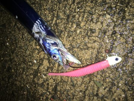 雨にも負けず風にも負けず！