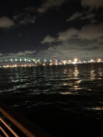 舞洲タチウオ渋い〜