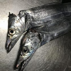 地合いが過ぎると