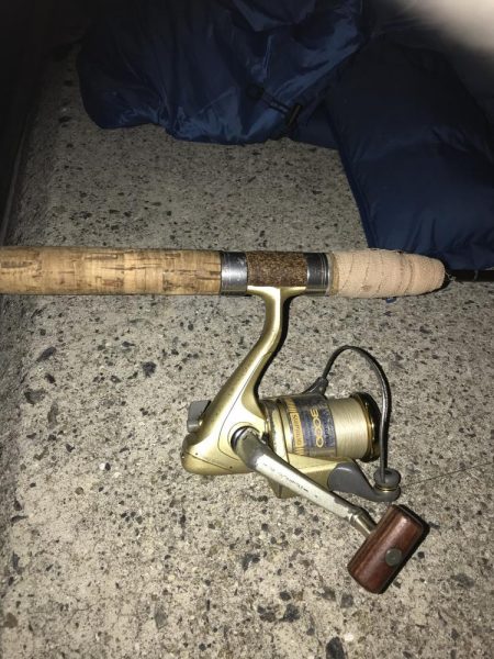 アタリは少ないがしっかり食ってくる