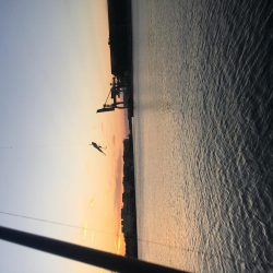 ウキとルアーで