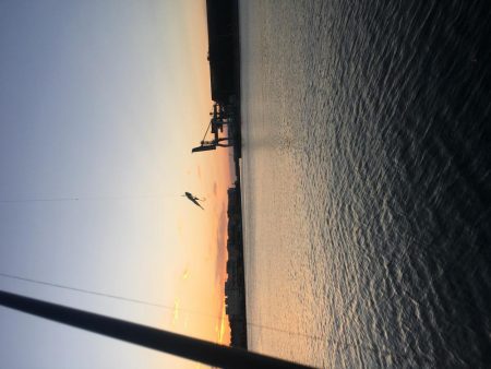 ウキとルアーで