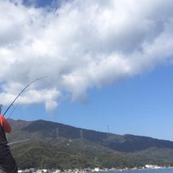 爆釣カワハギ！