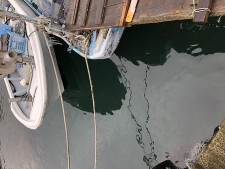 去年の面影なし