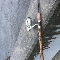 ショートバイトの中なんか