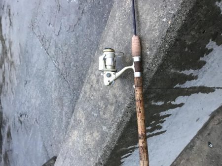 ショートバイトの中なんか