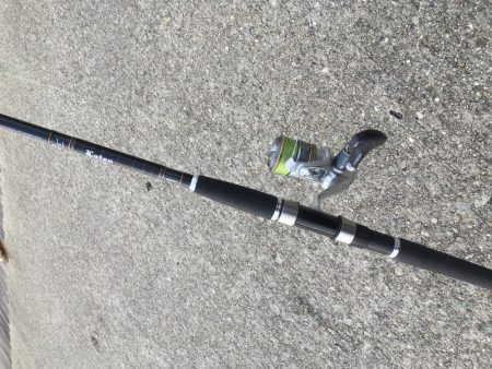 表層のみの釣果