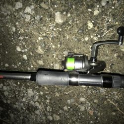 タチウオサイズダウン、、、