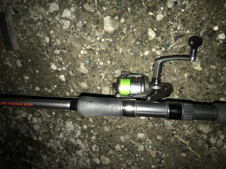 タチウオサイズダウン、、、