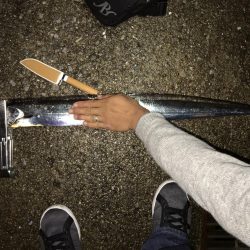 ラッキードラゴン