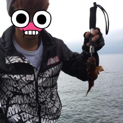 食品コンビナートテトラ