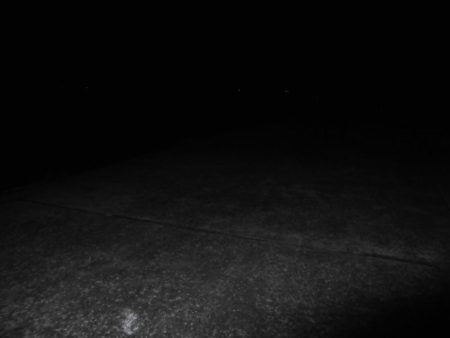 今日も近場の湾でタッチ―４本