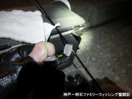 タチウオ狙いのはずがガッシーでボウズ逃れ