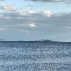 爆釣！投げカワハギ釣り