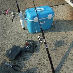 そろそろ終盤？