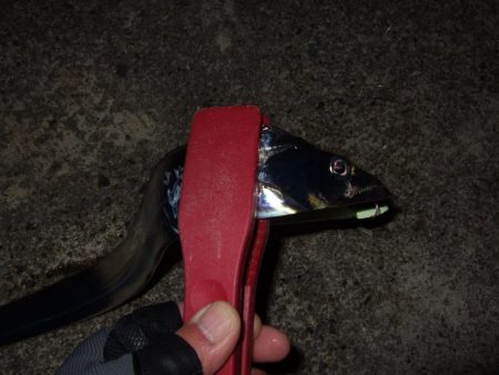 タチウオまだいた！