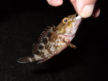 し、渋い・・・