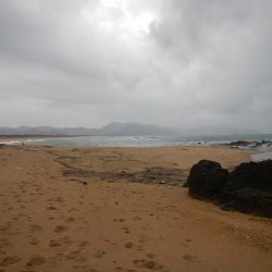 ミノーでゴンっ