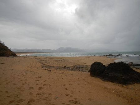 ミノーでゴンっ