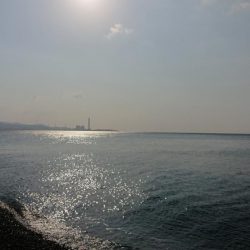 カツオのはずが・・・